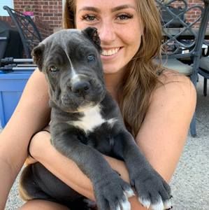 Meet your Posher, Caitlin